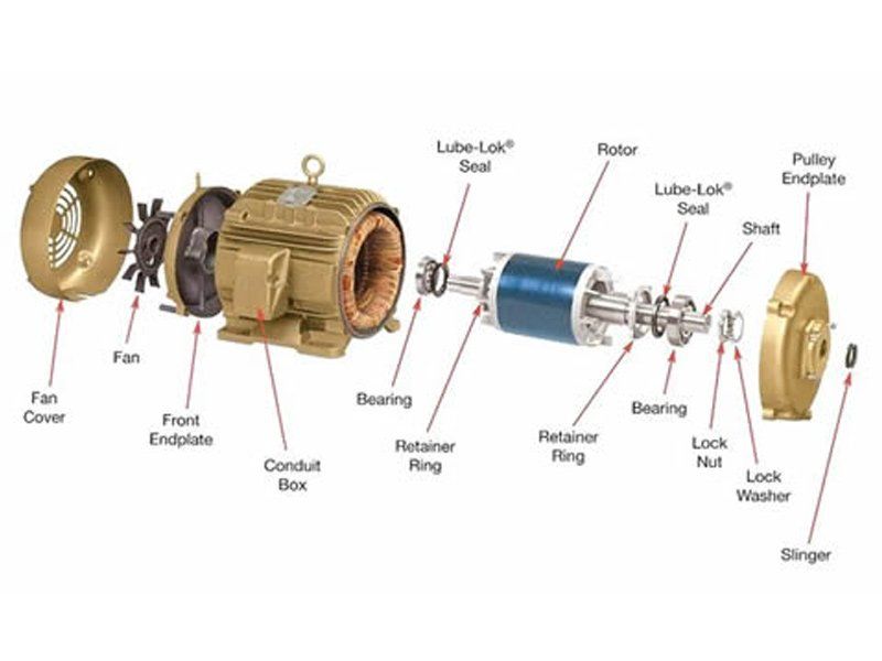 Three Phase Motor Exploded View